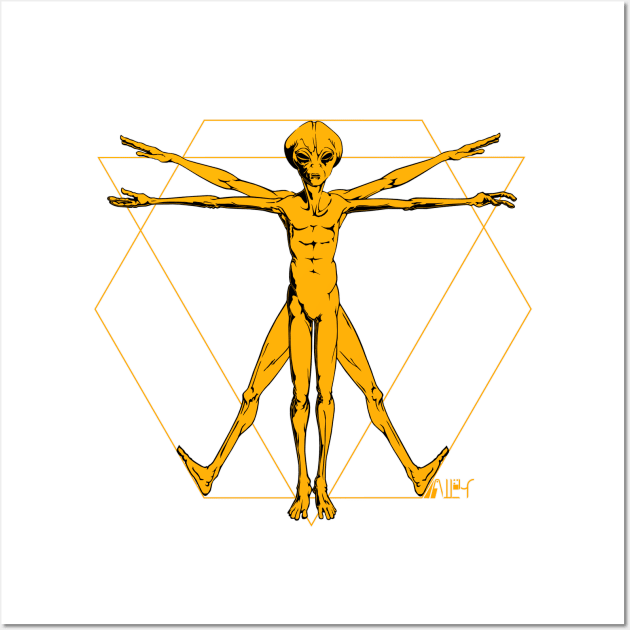 Vitruvian Alien Orange Wall Art by Monkey Business Bank